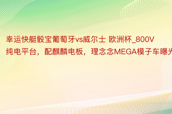 幸运快艇骰宝葡萄牙vs威尔士 欧洲杯_800V纯电平台，配麒麟电板，理念念MEGA模子车曝光